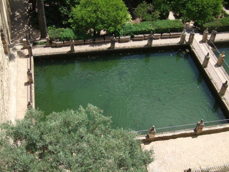 Anadalusien 2009 - 0278 